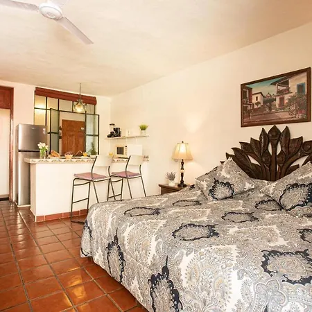 Vallarta Jr Suites-2